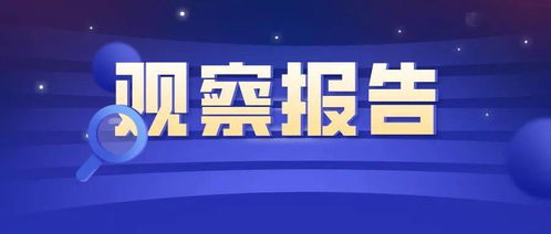 信息技術(shù)應(yīng)用調(diào)研及對法律服務(wù)行業(yè)的影響觀察報(bào)告——聚焦信息技術(shù)咨詢服務(wù)